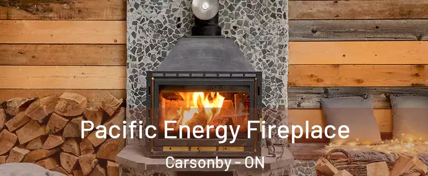  Pacific Energy Fireplace Carsonby - ON