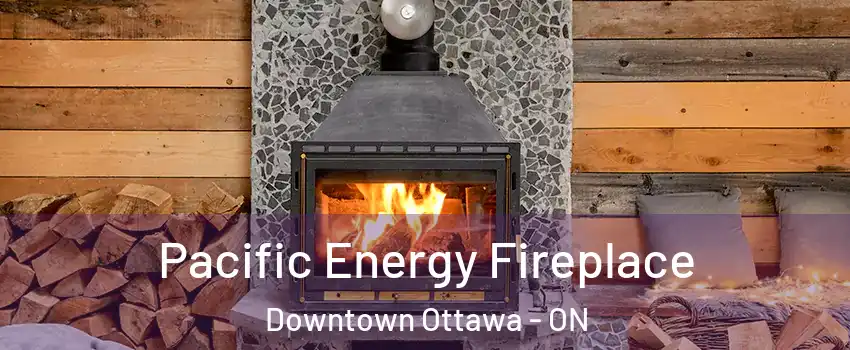  Pacific Energy Fireplace Downtown Ottawa - ON