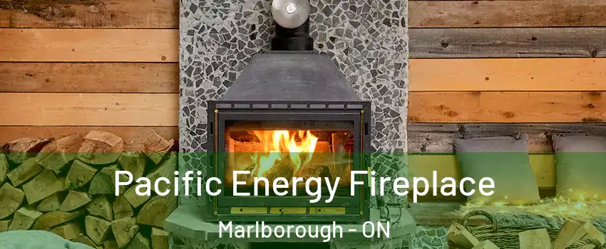  Pacific Energy Fireplace Marlborough - ON