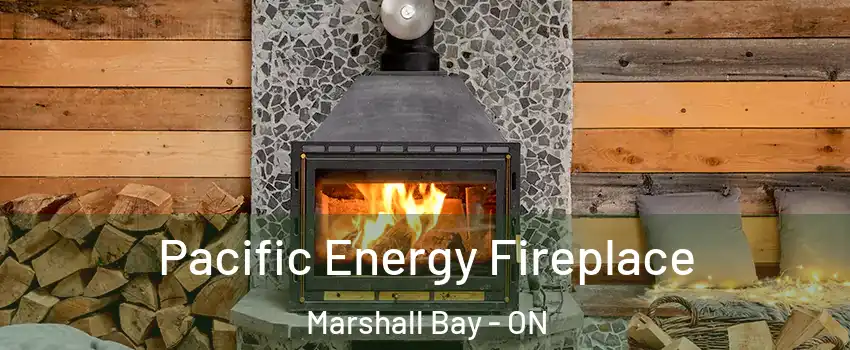  Pacific Energy Fireplace Marshall Bay - ON