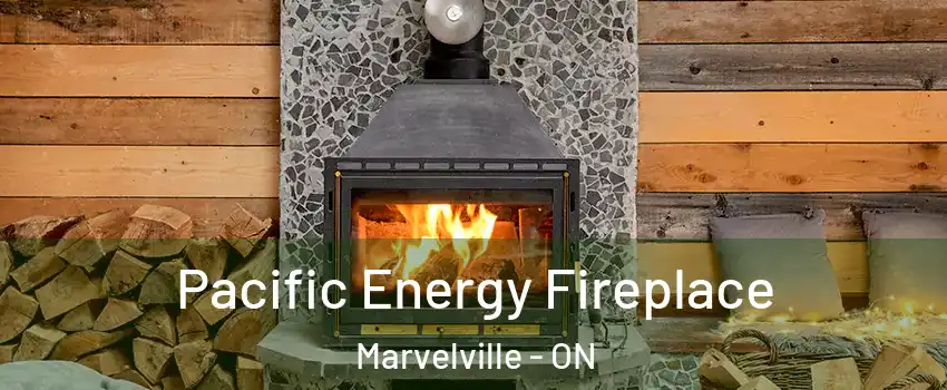  Pacific Energy Fireplace Marvelville - ON