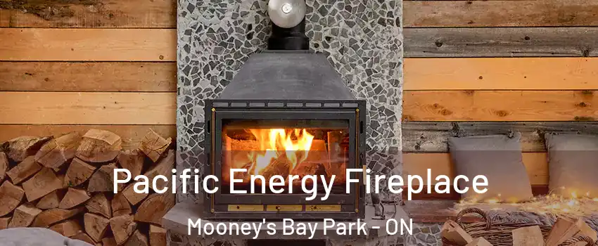  Pacific Energy Fireplace Mooney's Bay Park - ON