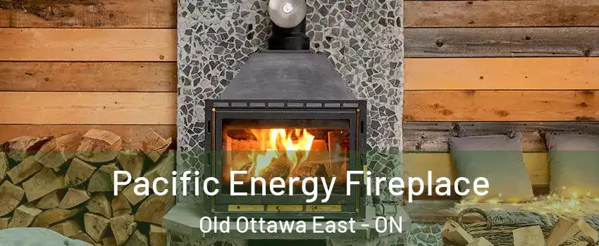  Pacific Energy Fireplace Old Ottawa East - ON