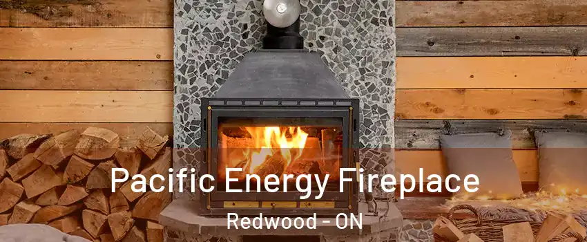  Pacific Energy Fireplace Redwood - ON