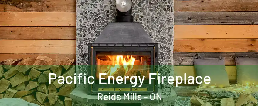  Pacific Energy Fireplace Reids Mills - ON