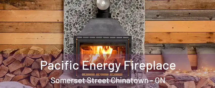  Pacific Energy Fireplace Somerset Street Chinatown - ON