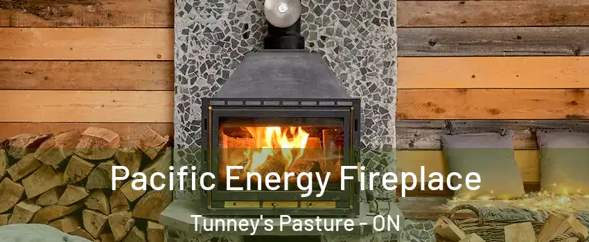  Pacific Energy Fireplace Tunney's Pasture - ON