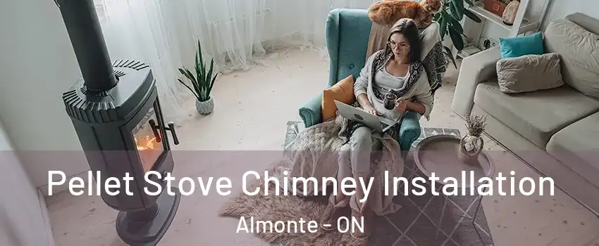  Pellet Stove Chimney Installation Almonte - ON