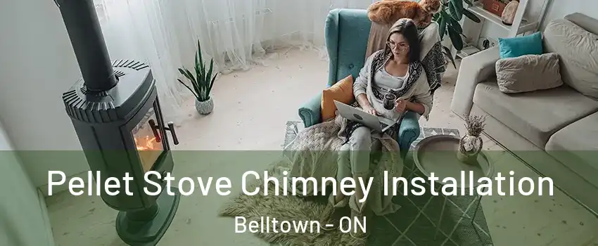  Pellet Stove Chimney Installation Belltown - ON