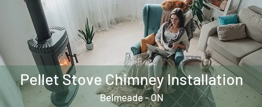  Pellet Stove Chimney Installation Belmeade - ON