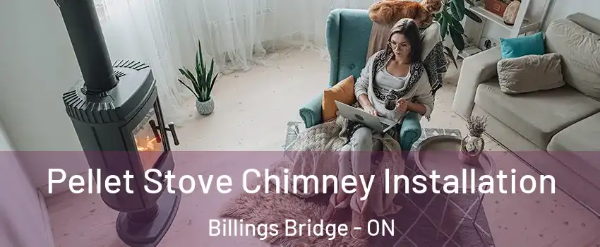  Pellet Stove Chimney Installation Billings Bridge - ON