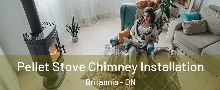  Pellet Stove Chimney Installation Britannia - ON