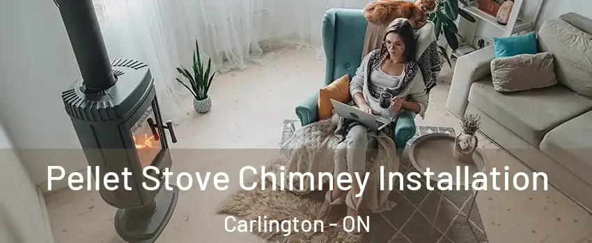  Pellet Stove Chimney Installation Carlington - ON