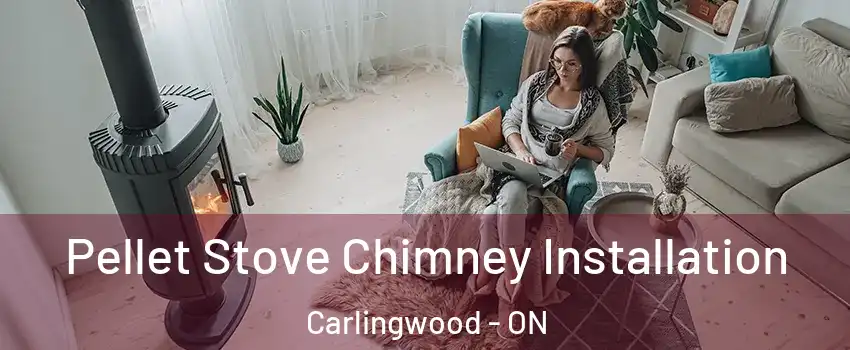  Pellet Stove Chimney Installation Carlingwood - ON