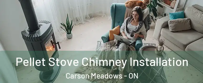  Pellet Stove Chimney Installation Carson Meadows - ON