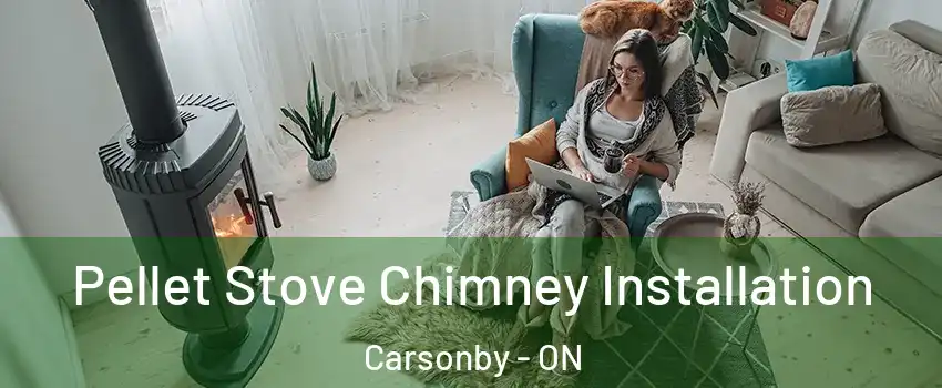  Pellet Stove Chimney Installation Carsonby - ON