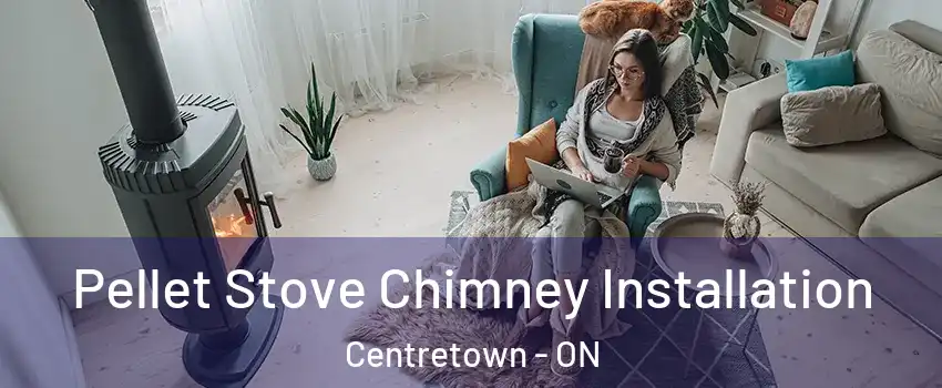  Pellet Stove Chimney Installation Centretown - ON