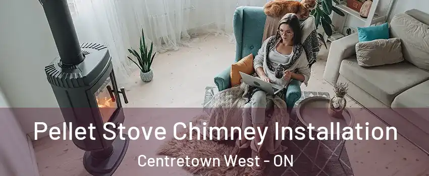  Pellet Stove Chimney Installation Centretown West - ON