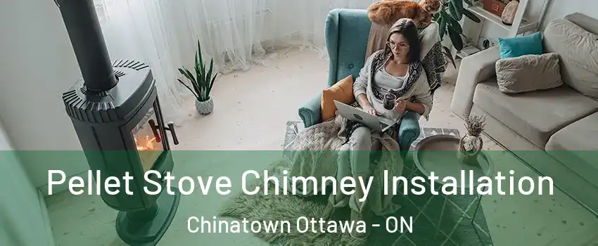  Pellet Stove Chimney Installation Chinatown Ottawa - ON