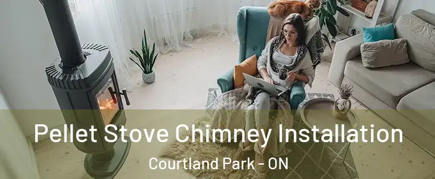  Pellet Stove Chimney Installation Courtland Park - ON