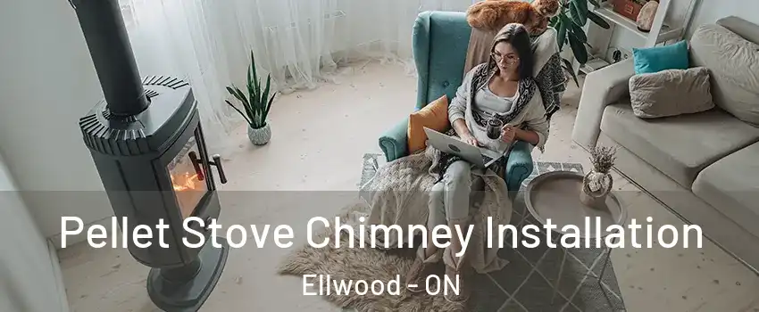  Pellet Stove Chimney Installation Ellwood - ON