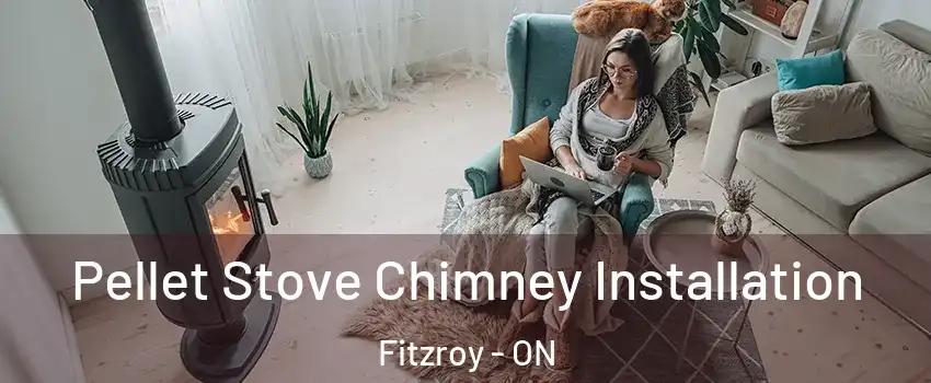  Pellet Stove Chimney Installation Fitzroy - ON