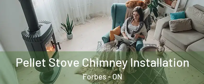  Pellet Stove Chimney Installation Forbes - ON