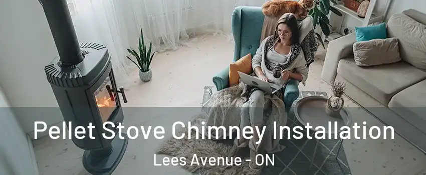  Pellet Stove Chimney Installation Lees Avenue - ON