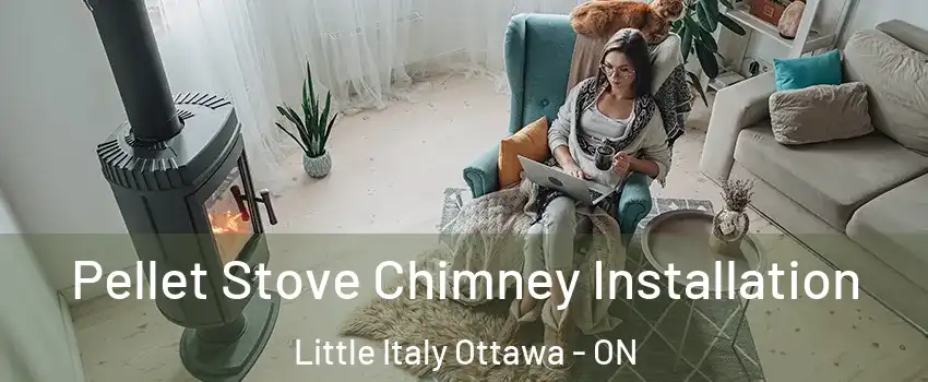  Pellet Stove Chimney Installation Little Italy Ottawa - ON