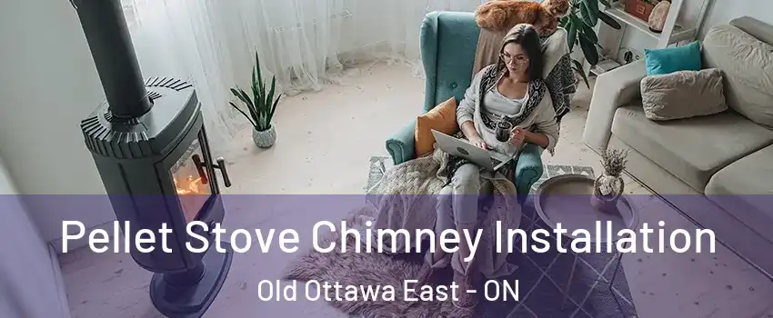  Pellet Stove Chimney Installation Old Ottawa East - ON