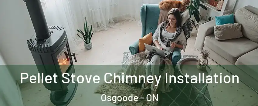  Pellet Stove Chimney Installation Osgoode - ON