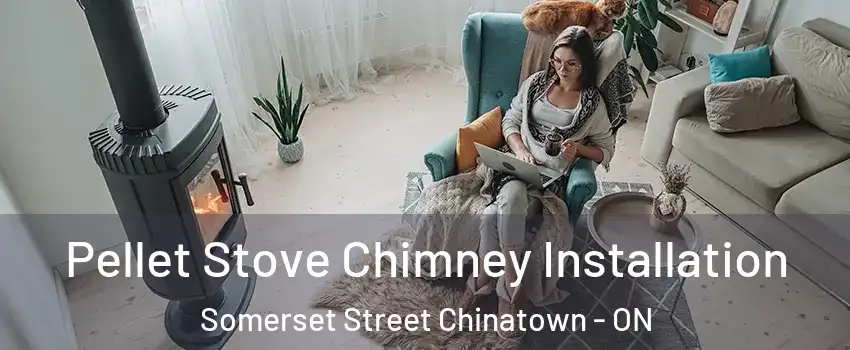  Pellet Stove Chimney Installation Somerset Street Chinatown - ON