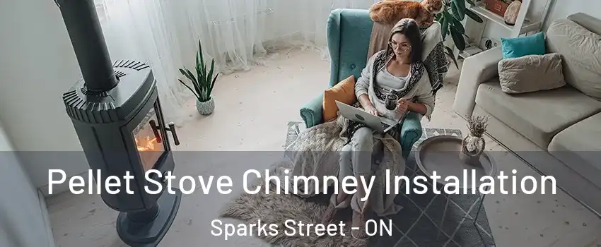  Pellet Stove Chimney Installation Sparks Street - ON