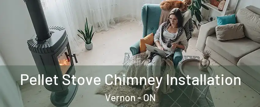  Pellet Stove Chimney Installation Vernon - ON