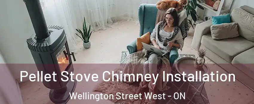  Pellet Stove Chimney Installation Wellington Street West - ON