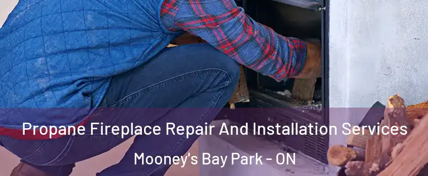  Propane Fireplace Repair And Installation Services Mooney's Bay Park - ON