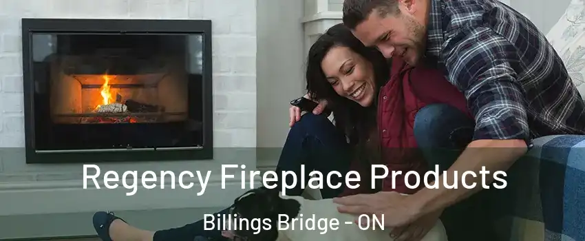  Regency Fireplace Products Billings Bridge - ON