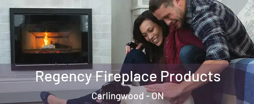  Regency Fireplace Products Carlingwood - ON