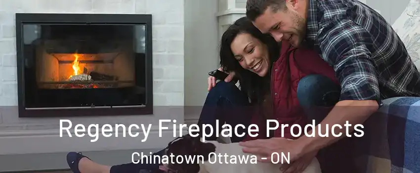  Regency Fireplace Products Chinatown Ottawa - ON