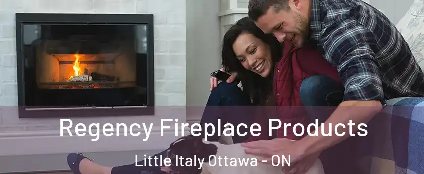  Regency Fireplace Products Little Italy Ottawa - ON