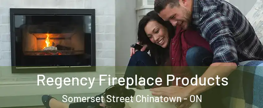  Regency Fireplace Products Somerset Street Chinatown - ON