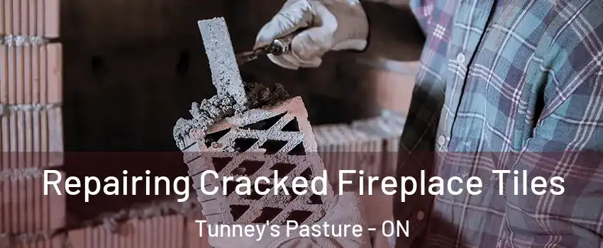  Repairing Cracked Fireplace Tiles Tunney's Pasture - ON