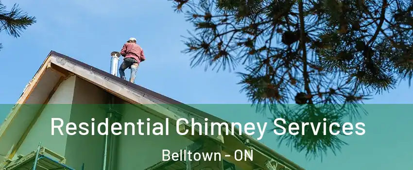  Residential Chimney Services Belltown - ON