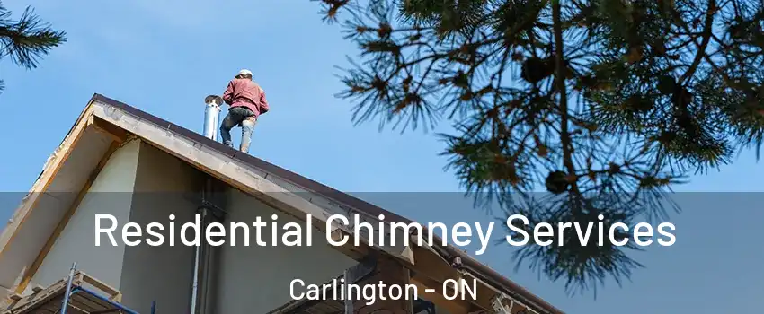  Residential Chimney Services Carlington - ON