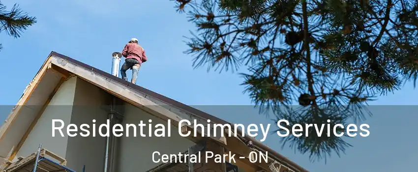  Residential Chimney Services Central Park - ON