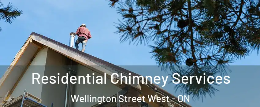  Residential Chimney Services Wellington Street West - ON