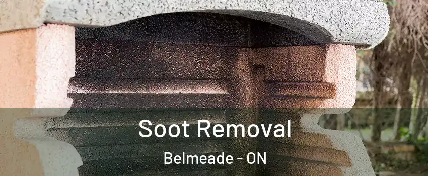  Soot Removal Belmeade - ON