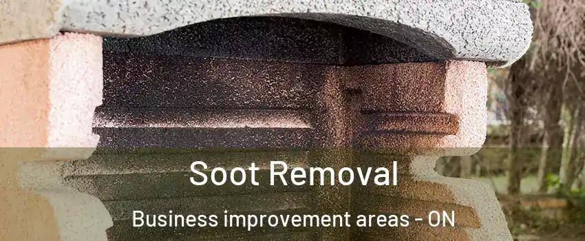  Soot Removal Business improvement areas - ON