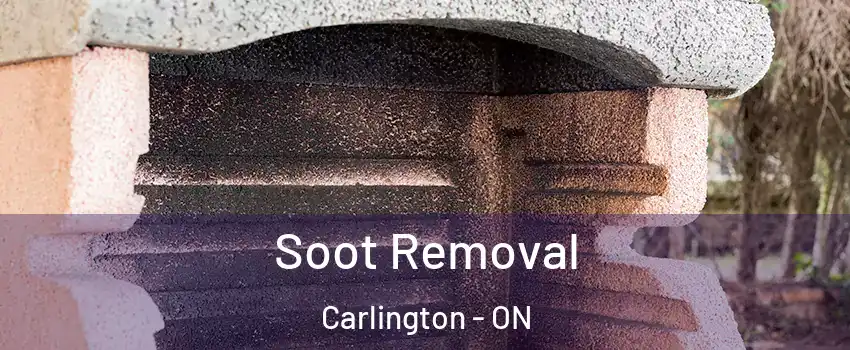  Soot Removal Carlington - ON