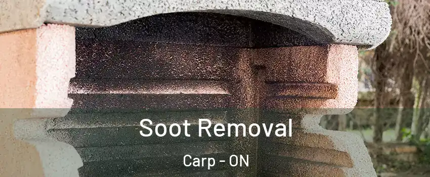  Soot Removal Carp - ON